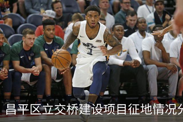 昌平区立交桥建设项目征地情况分析