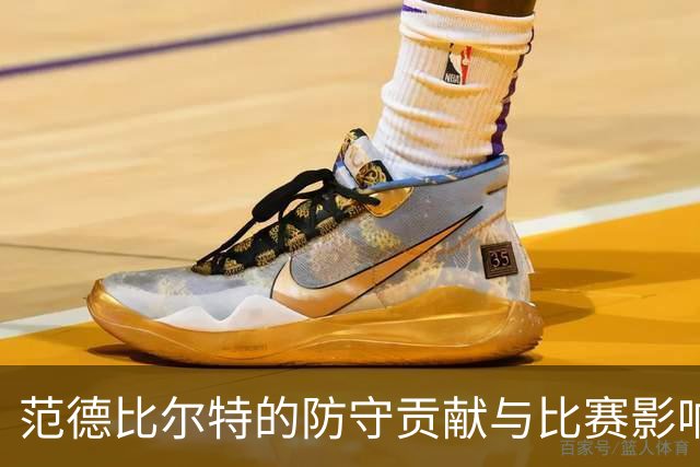 范德比尔特的防守贡献与比赛影响力分析